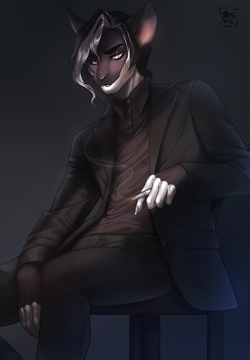 Artist - Yasmil - Page 221