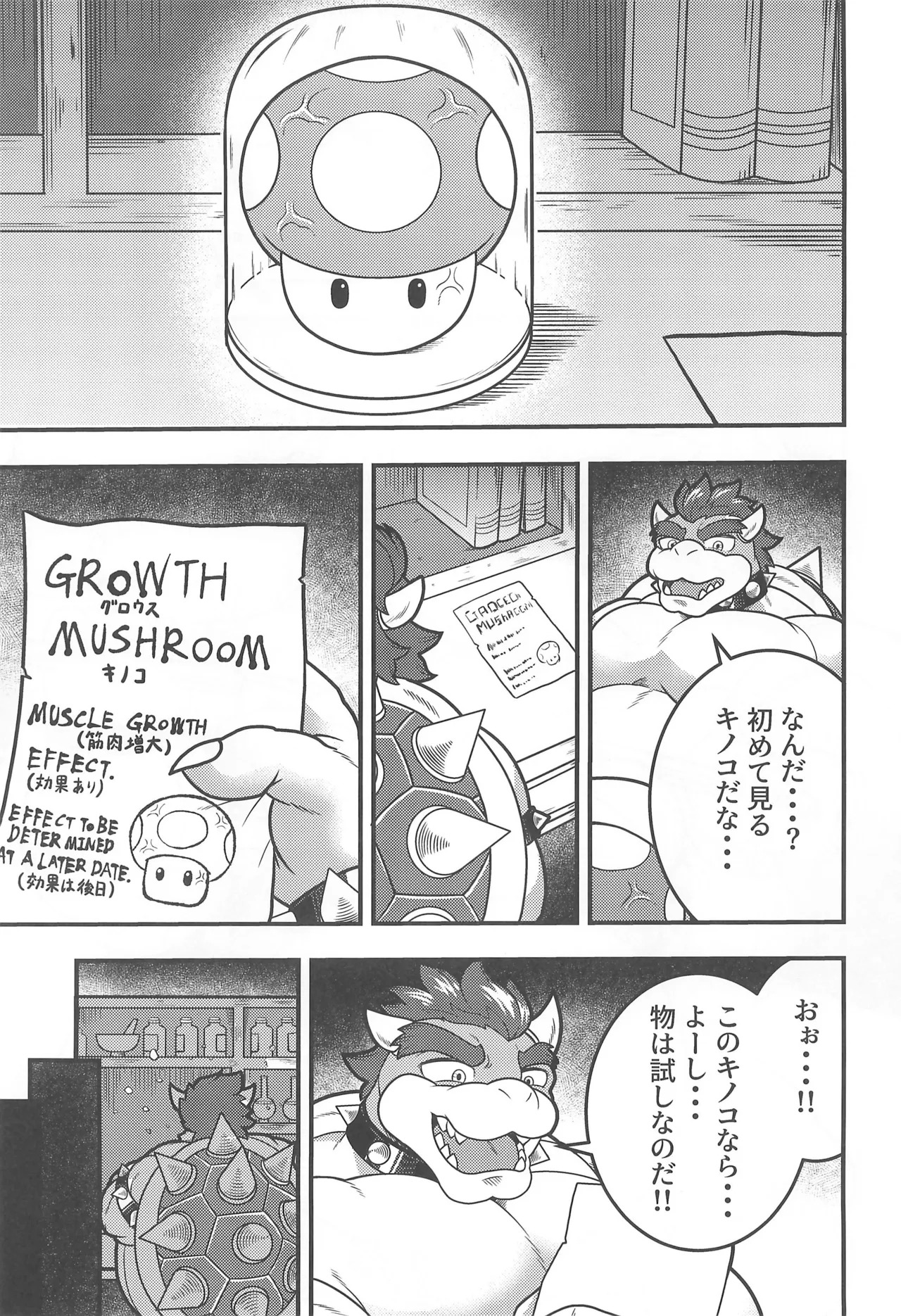 (Kansai Kemoket 10) [Dodeka Kenkyuusho (Father)] OVER GROWTH (Super Mario Bros.) - Page 9