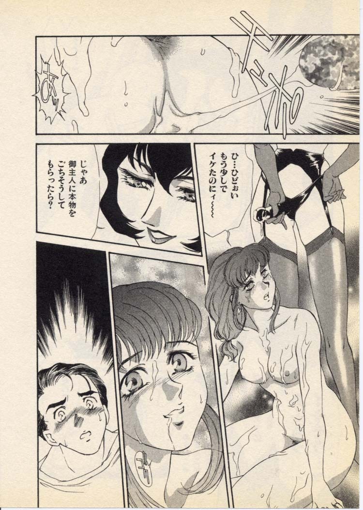 [Fujii Akiko, Akiyama Michio] OO III Aiyoku no Ougonritsu - Page 23