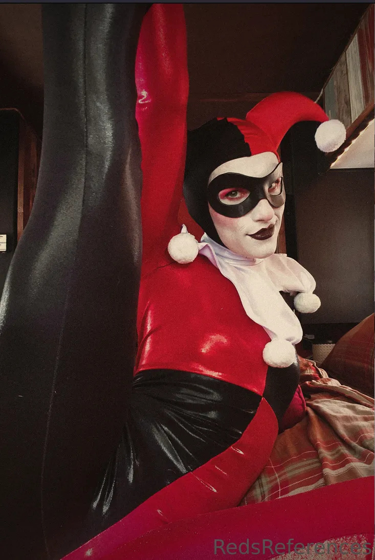 Harley Quinn and Harleyverse - Page 29