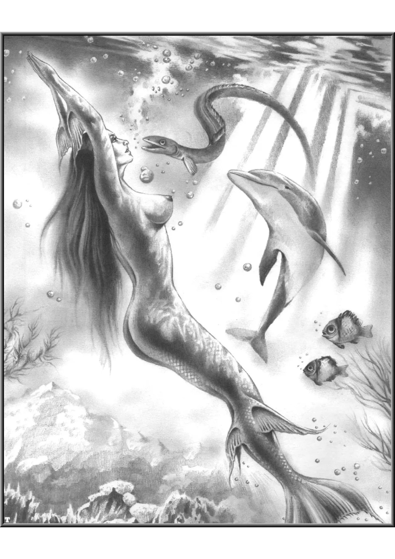 Mermaids (A Gallery Girls Collection) [English] - Page 10