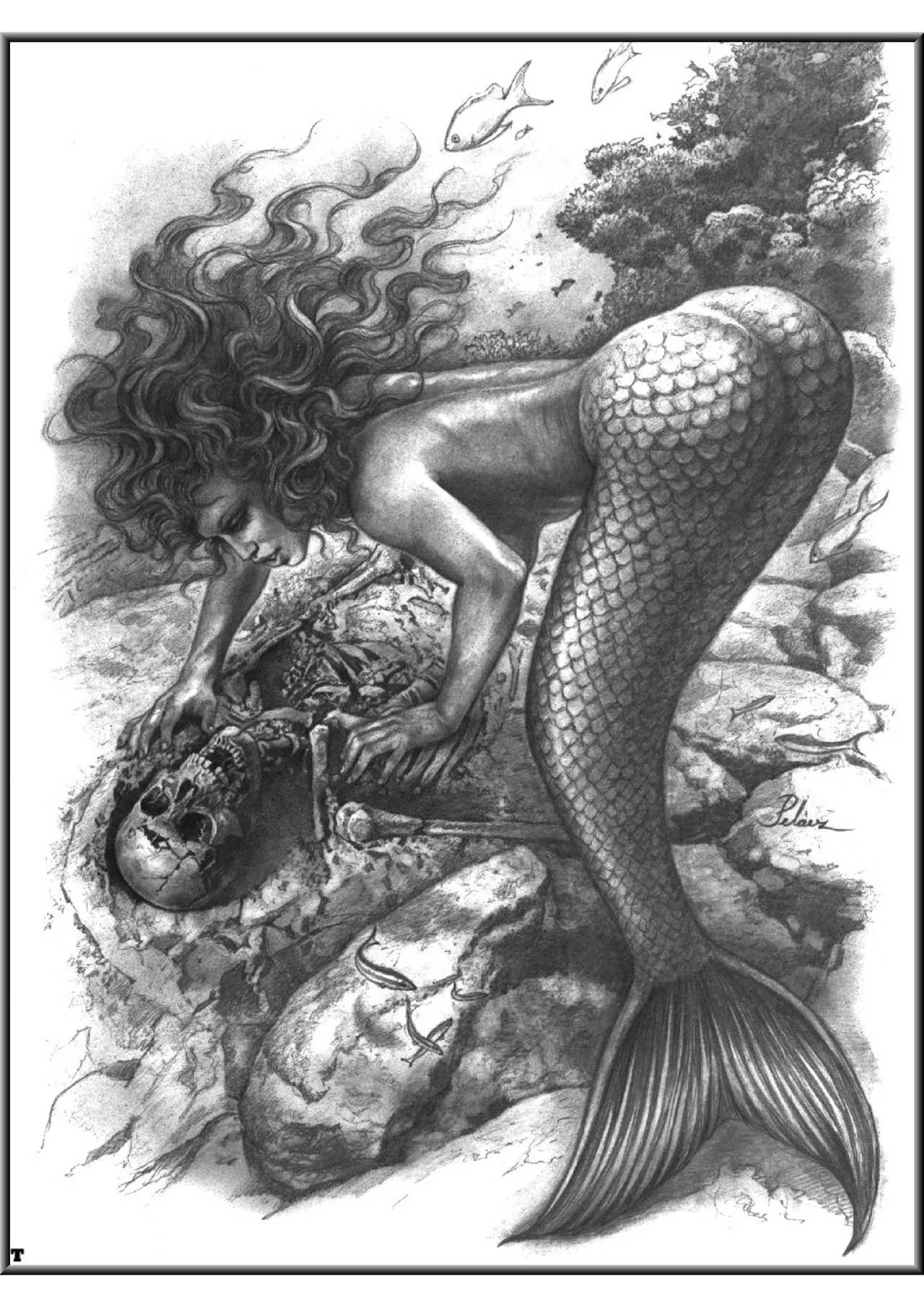 Mermaids (A Gallery Girls Collection) [English] - Page 34