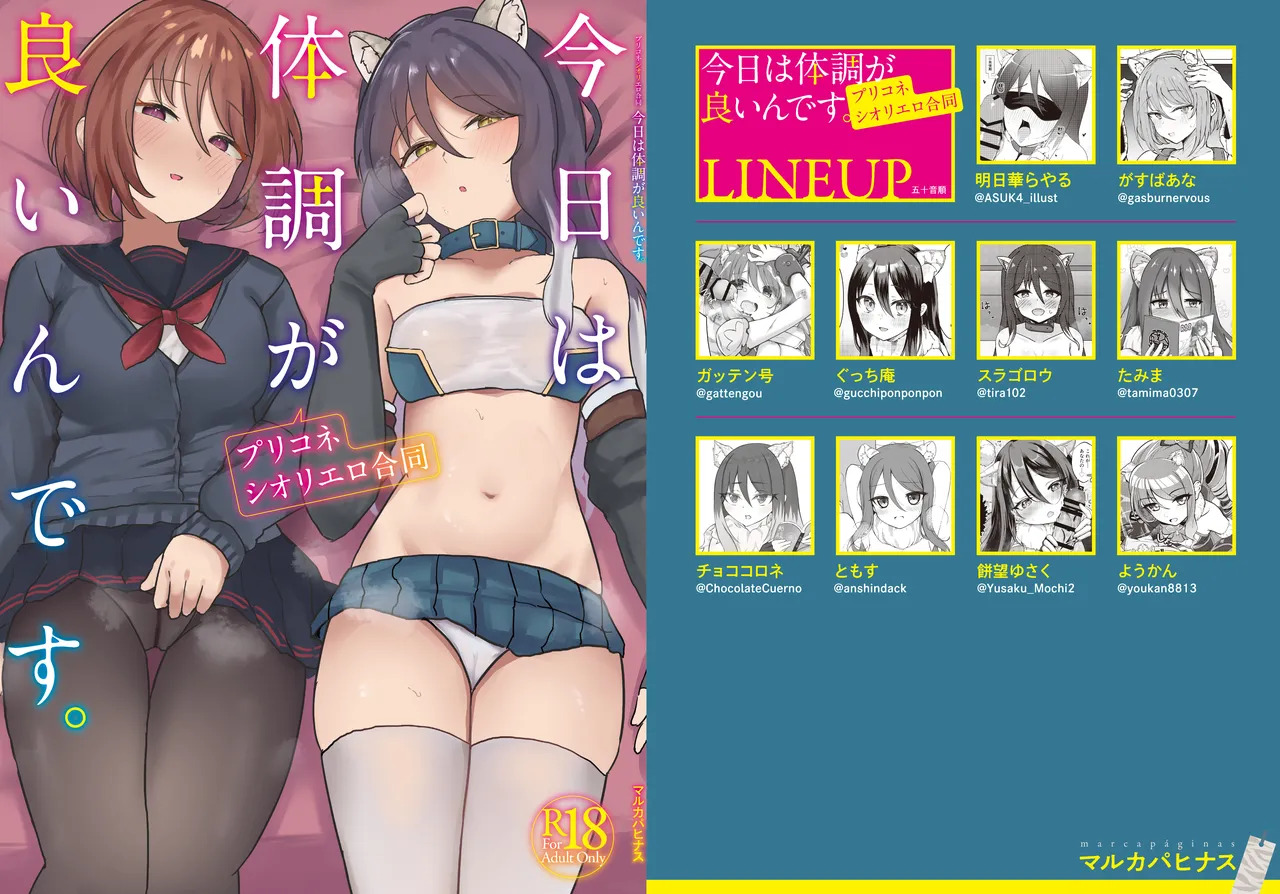 Preview page 1