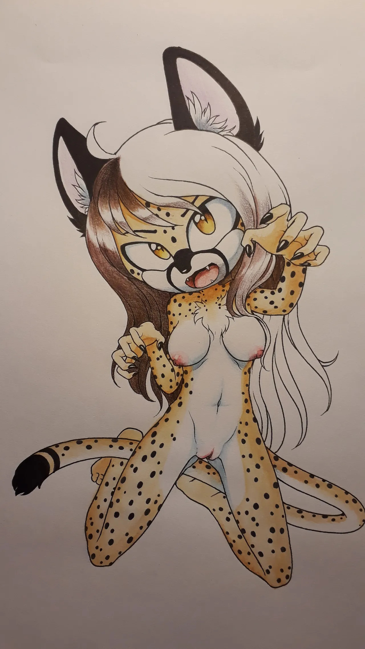 DashtheCheetah - Page 81