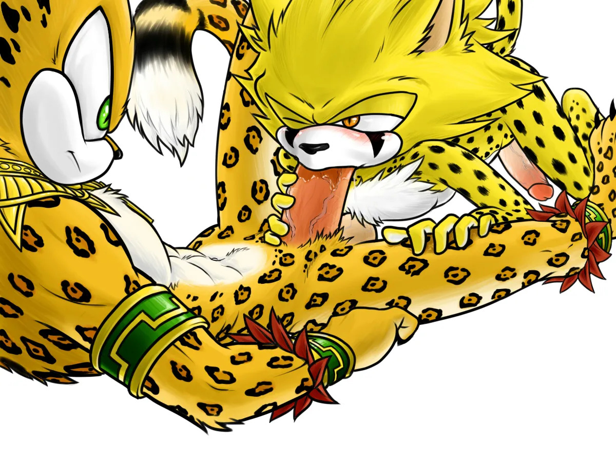 DashtheCheetah - Page 13