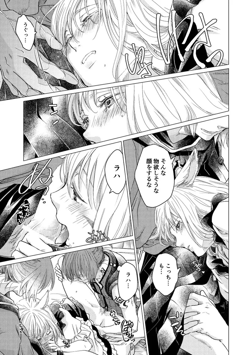 [ASM-P (Katakura Mikki)] Please give me some seeds (Final Fantasy XIV) [Digital] - Page 12