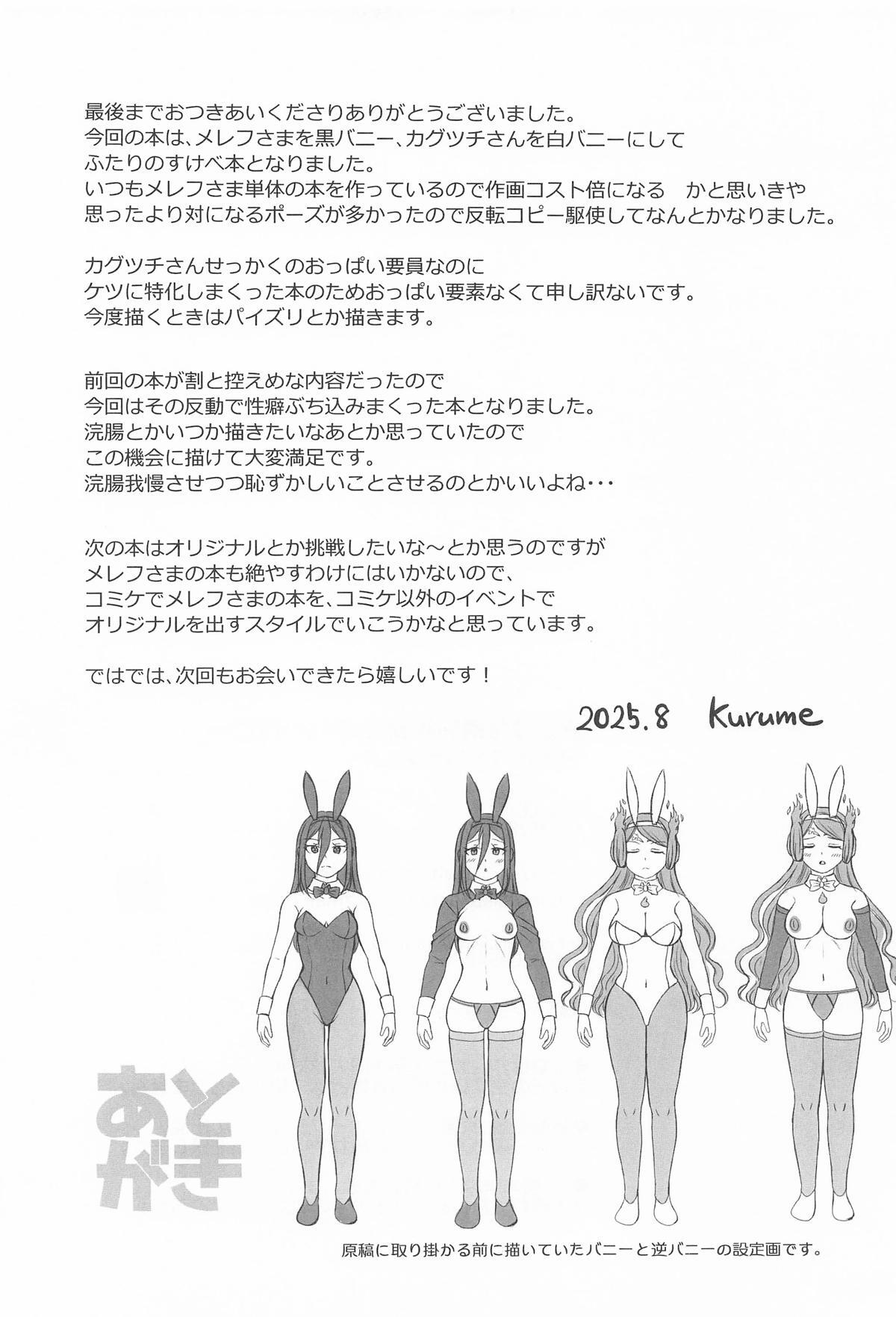 [S.M.L ] メレフ特別執権官のあやしいバニー ～カグツチといっしょ!～ (ゼノブレイド2) - Page 28