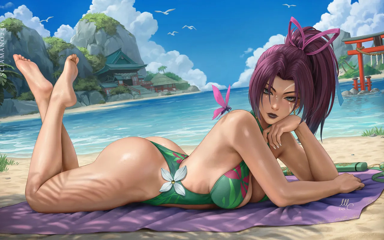 scia 11 - Page 243