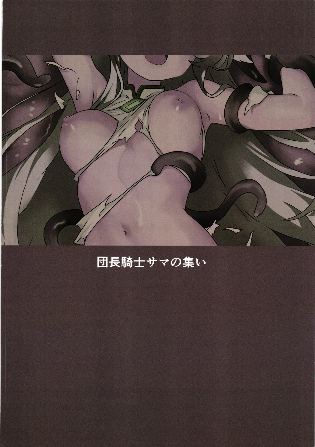 [Dancho kssm no tsudoi (Dancho kishi sama no tsudoi) (noraneko kaigi)] Hanakishi syokusyu ochi 2 - Page 32