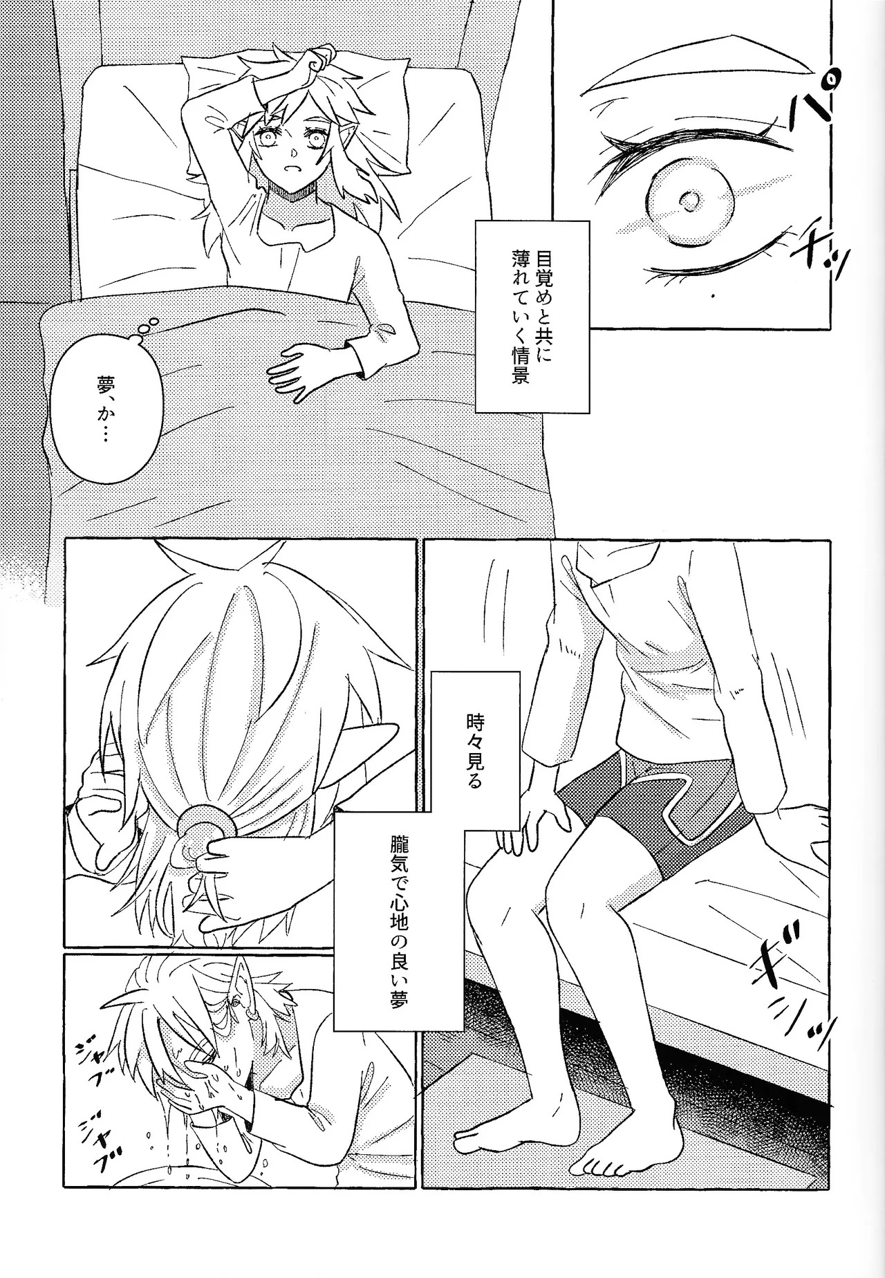 [Mamonosaida (Ten)] Aru ai no hanashi (Legend of Zelda) - Page 18