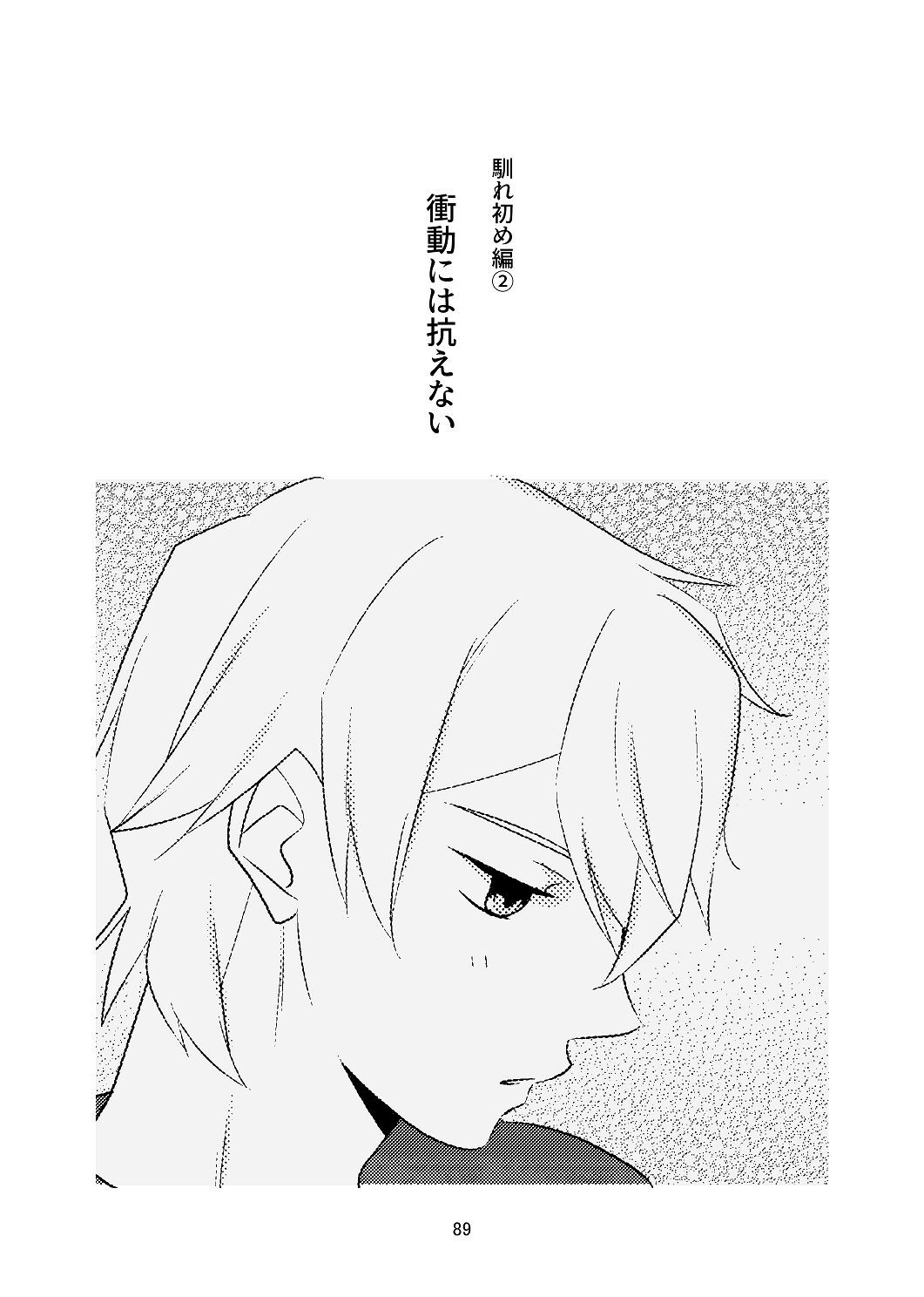[はしるぶた (花走)] 4P(for peace)その1【電子版】 [Digital] - Page 90
