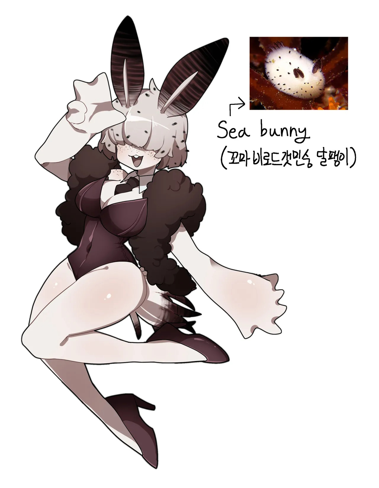 Sophia The Seabunny (junkzero) - Page 42