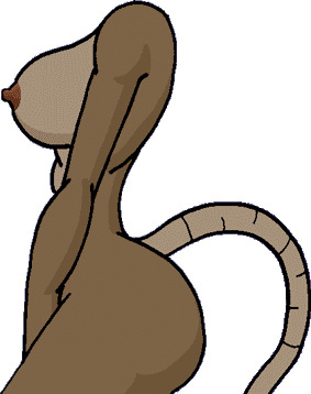 "Click-N-Strip" Series Asset Rip - Page 197