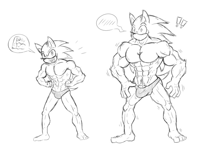 [Kandlekidart] Beef'd Up Sonic