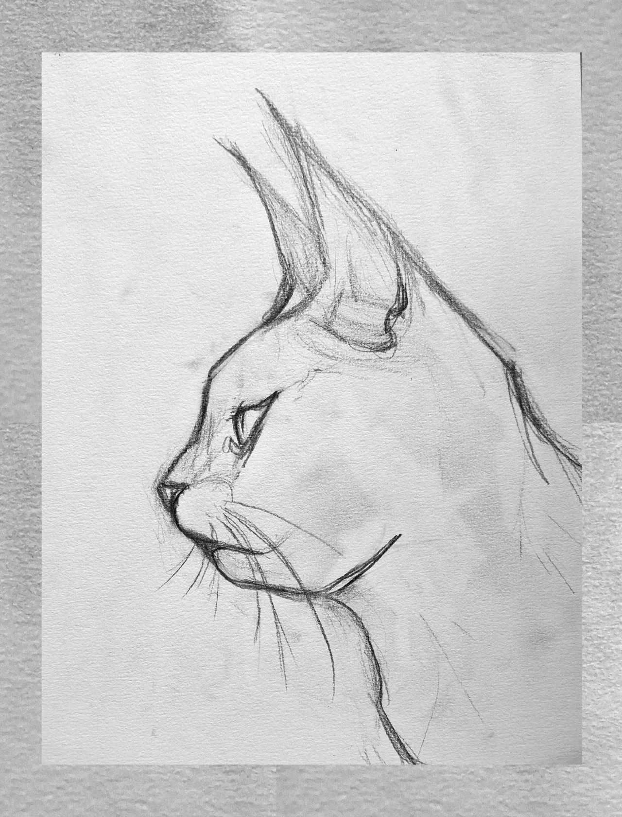 Nymphonomicon Digital Sketchbook - Page 158