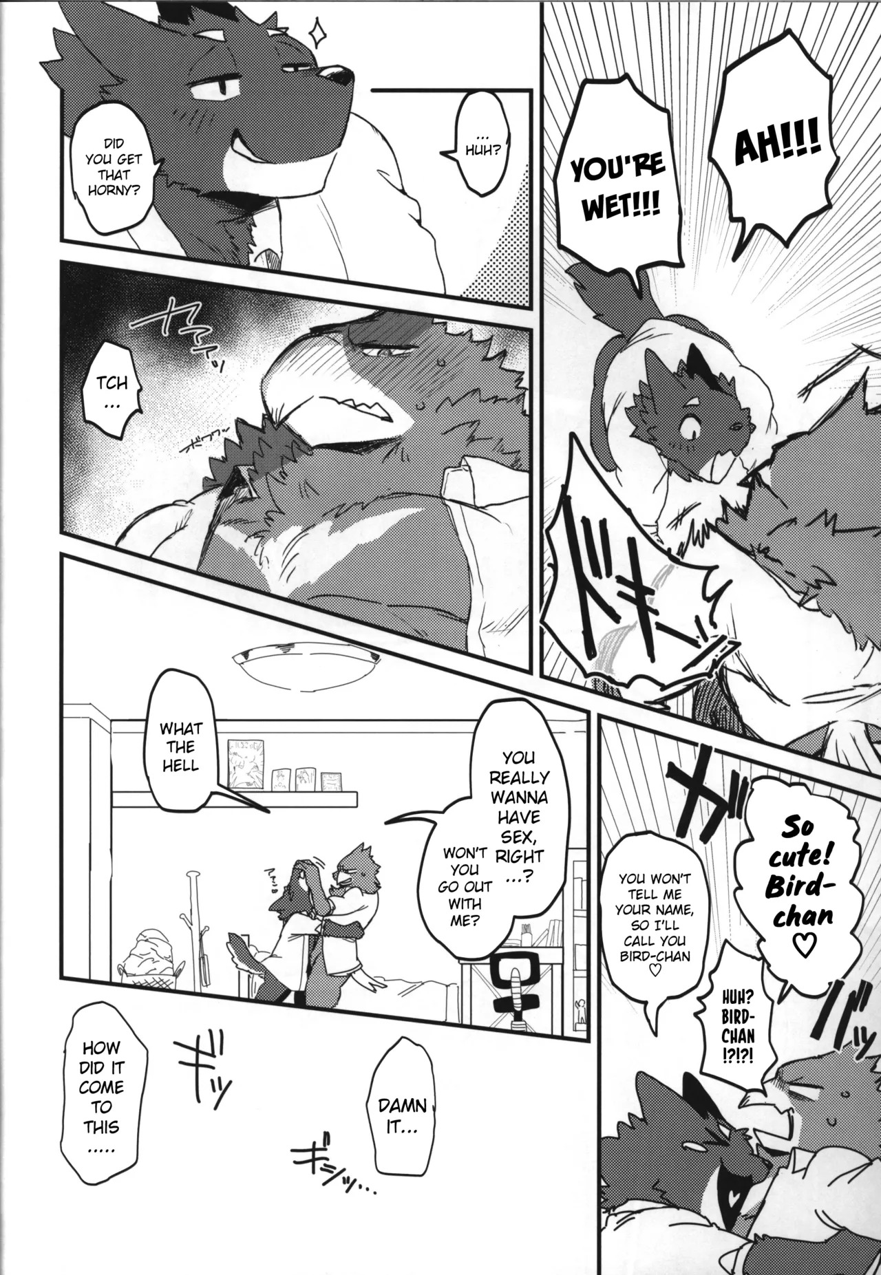 [Nokiasenki] Adolescent Wolf x Bird!! [Eng] - Page 12