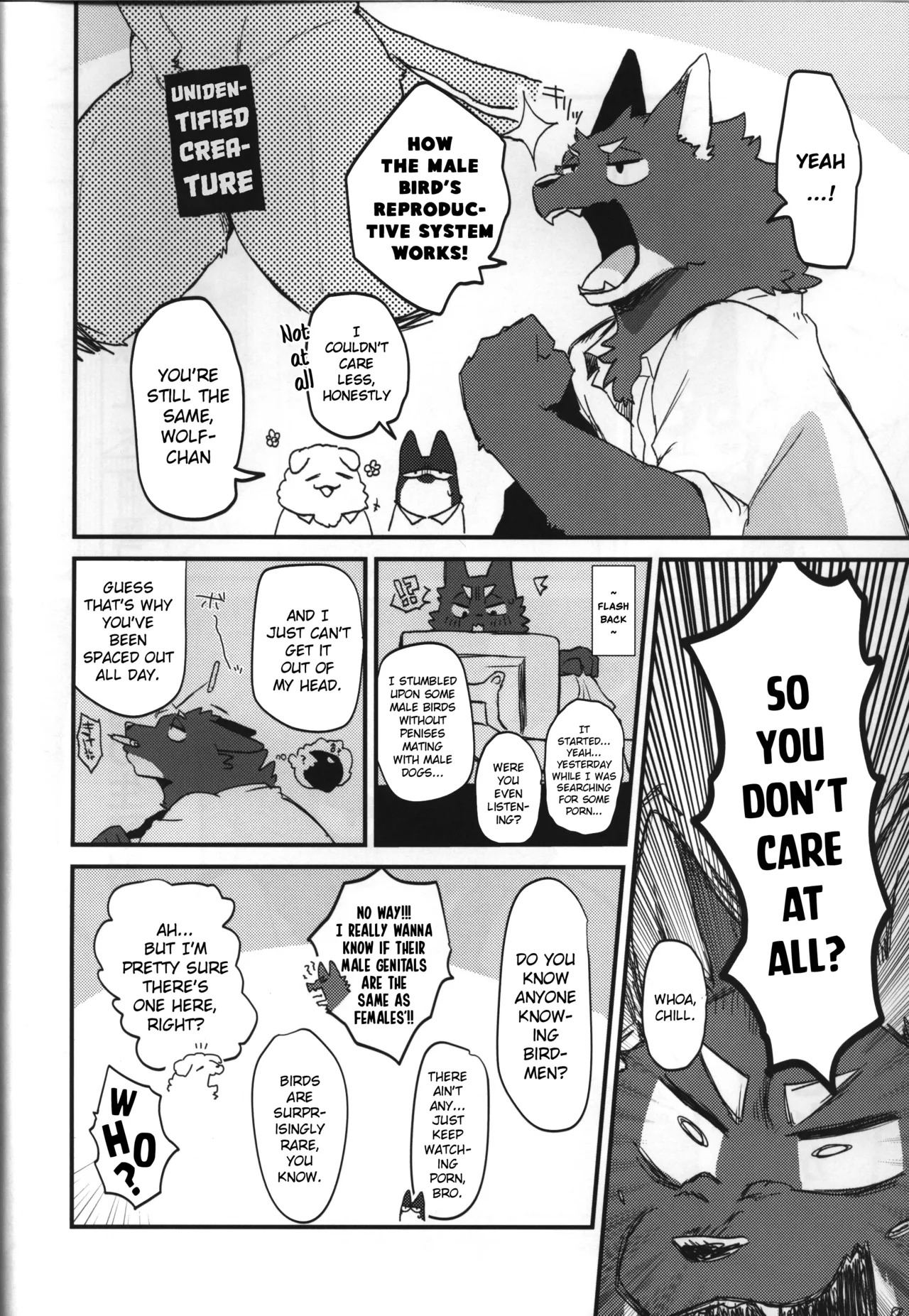 Preview page 6