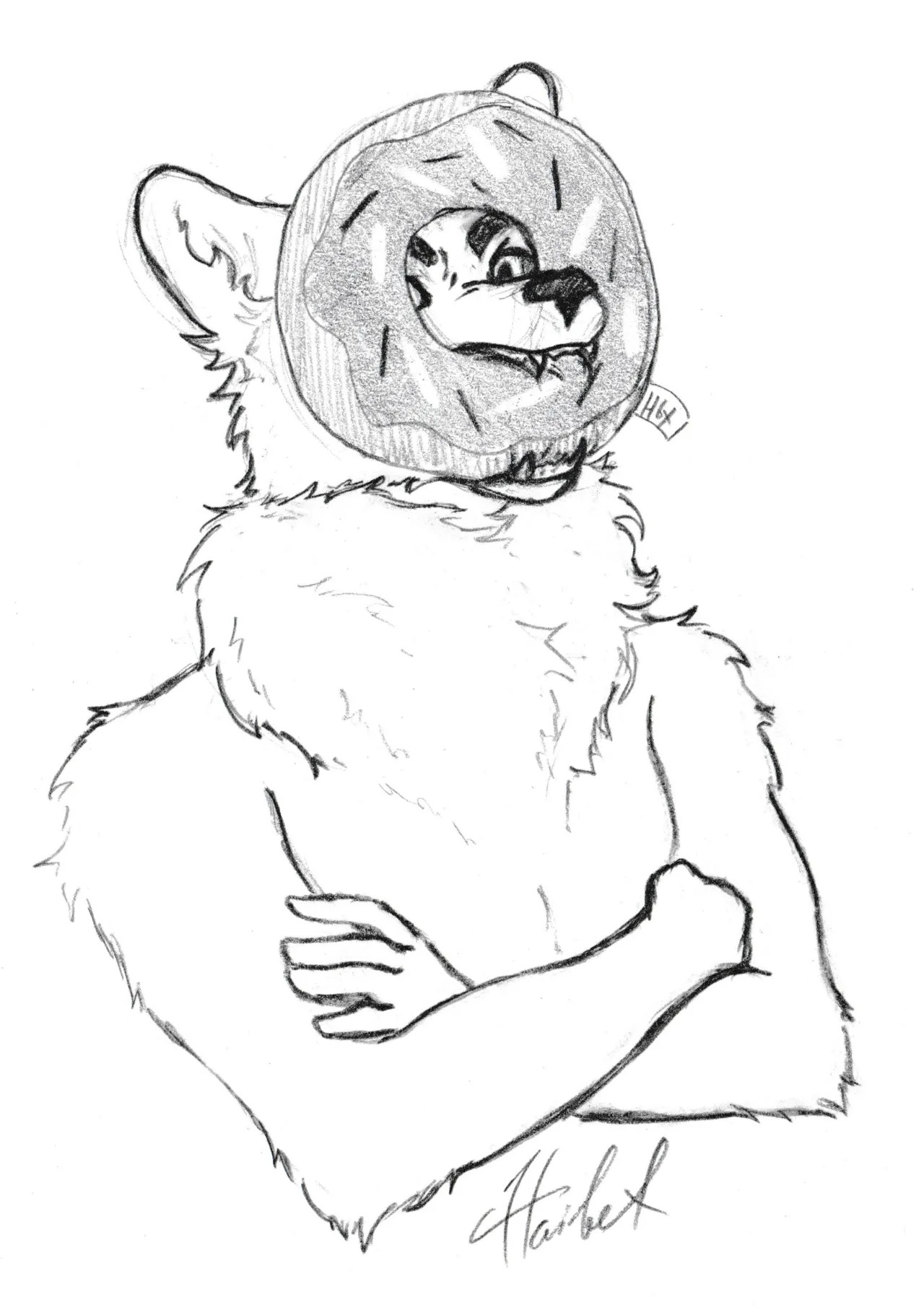 [Furaffinity] Haibetennea - Page 263
