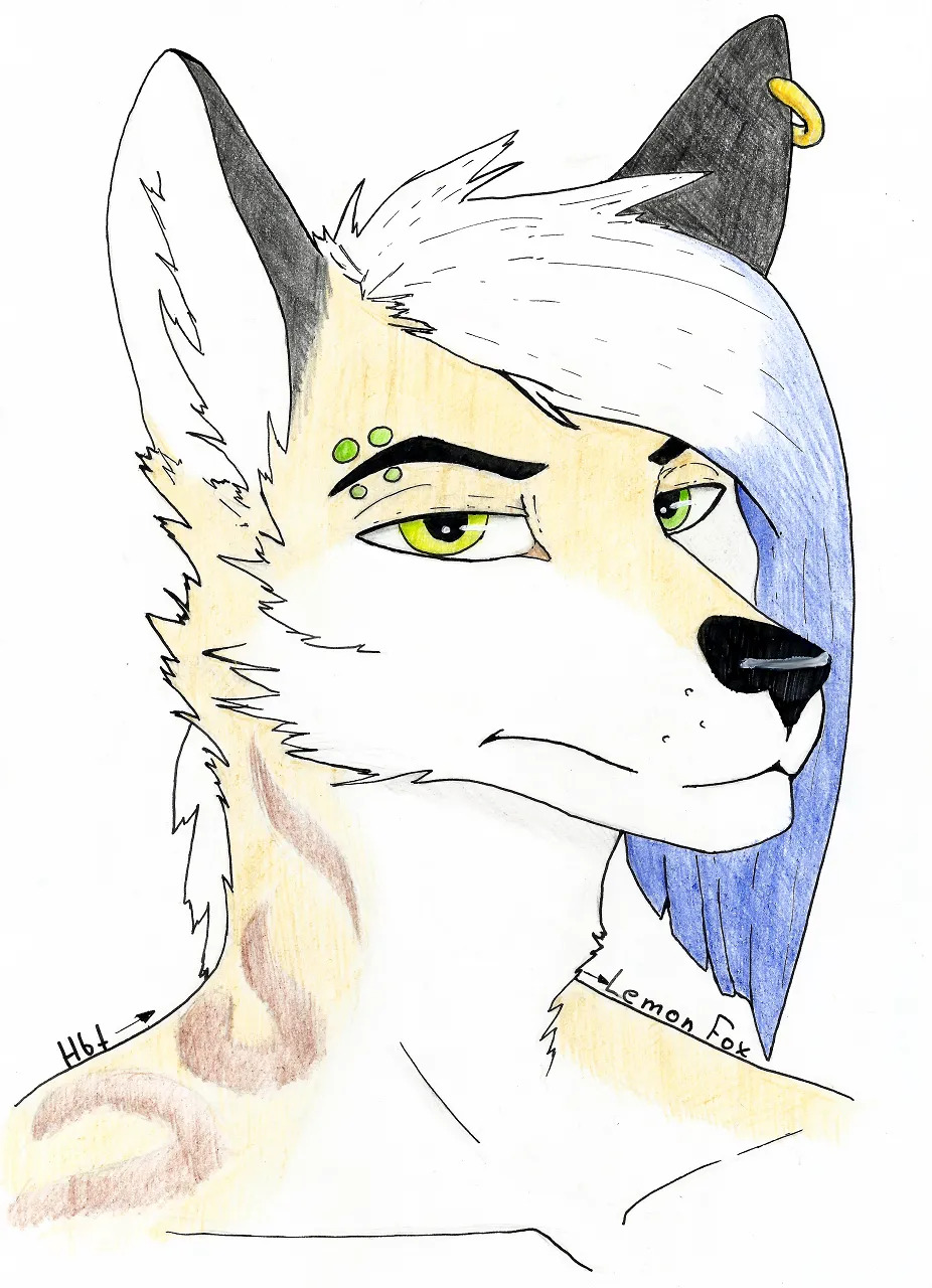 [Furaffinity] Haibetennea - Page 40