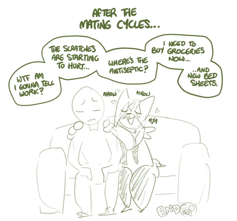 [Shoutingisfun] Scratching post (Pokemon) - Page 11
