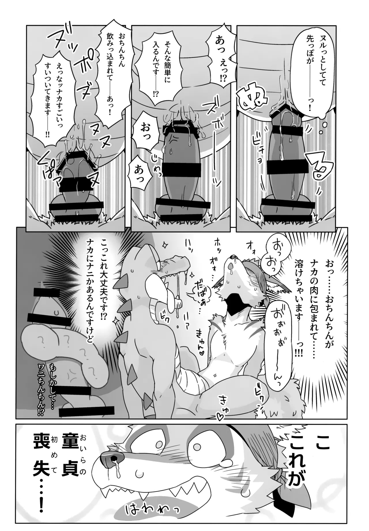 [Kemoket 13] [Nikunabe] Roar! Amorey! (2023-05) - Page 16