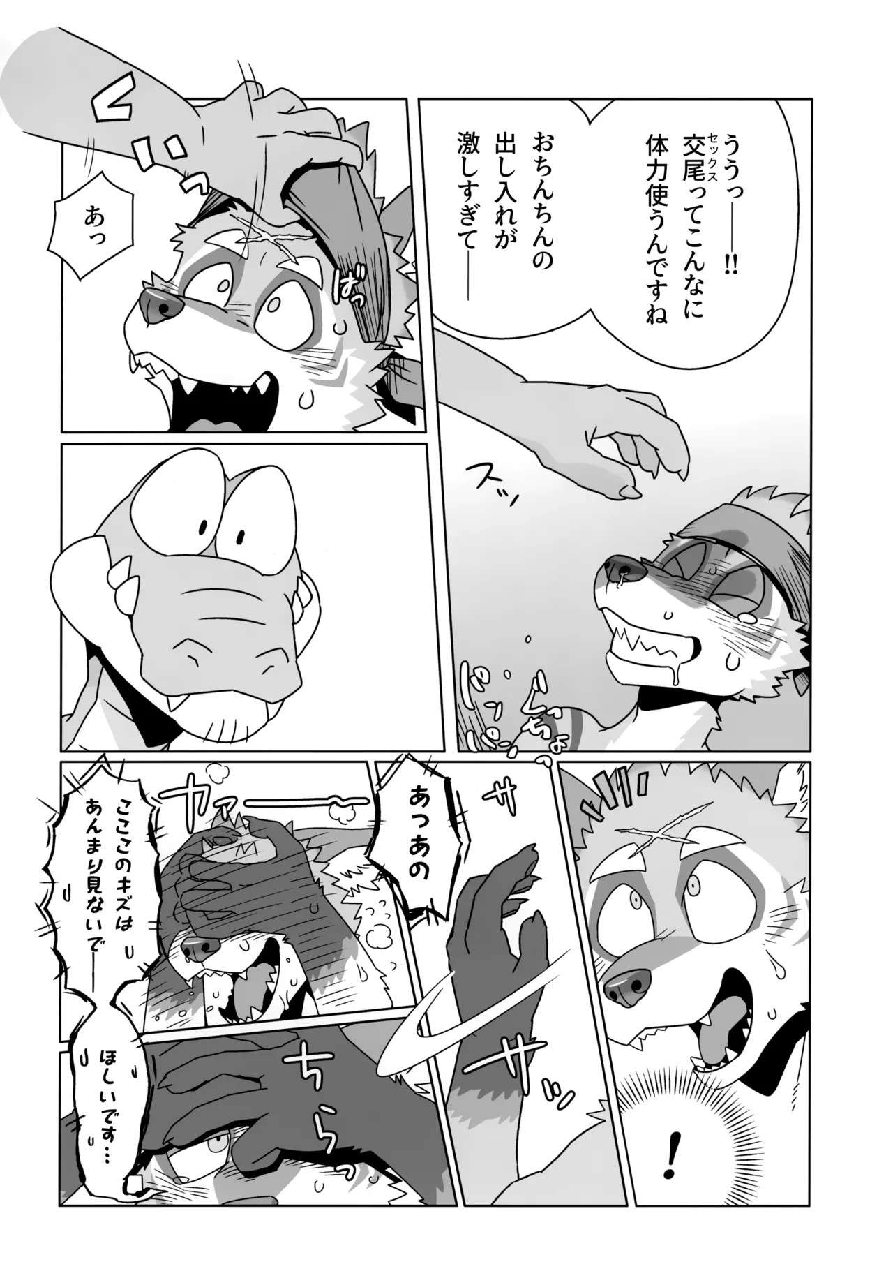 [Kemoket 13] [Nikunabe] Roar! Amorey! (2023-05) - Page 18