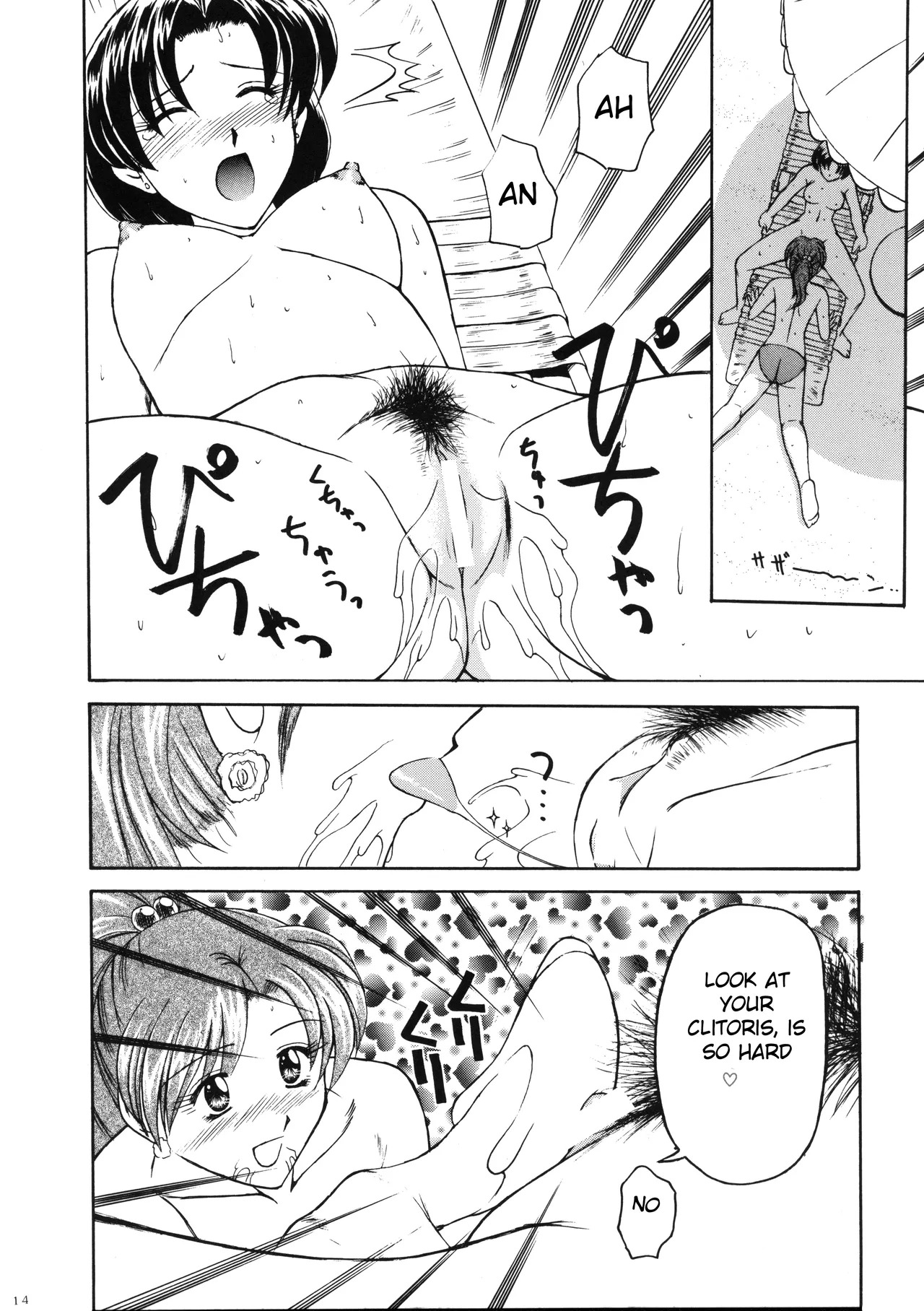 (C54) [T-Press (ToWeR)] PERFECT HARMONY (Bishoujo Senshi Sailor Moon) [English] [Satoru] - Page 14