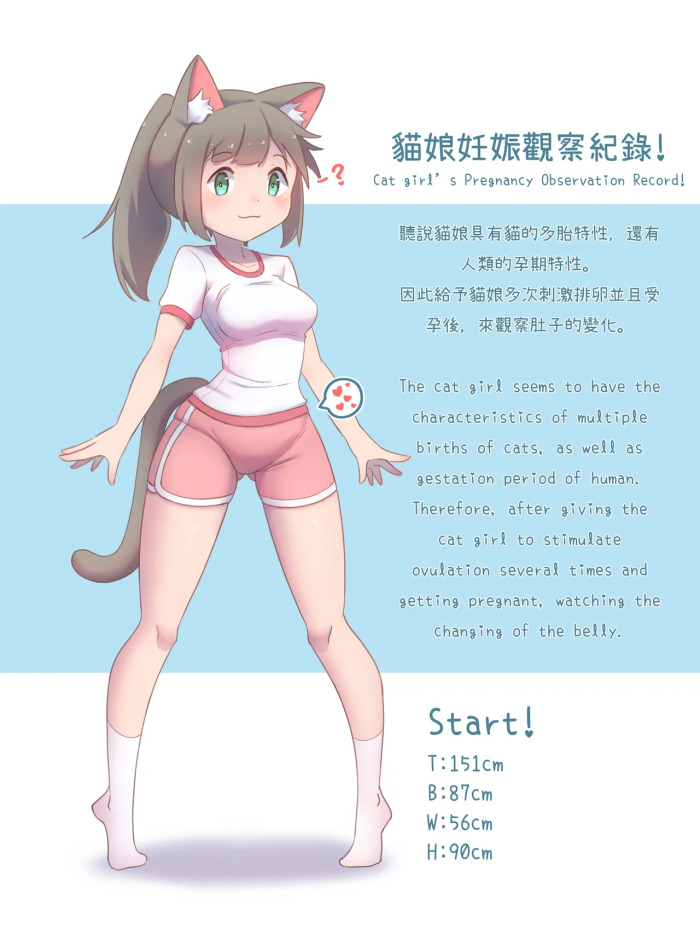 CatChan's Pregnancy Observation Record!