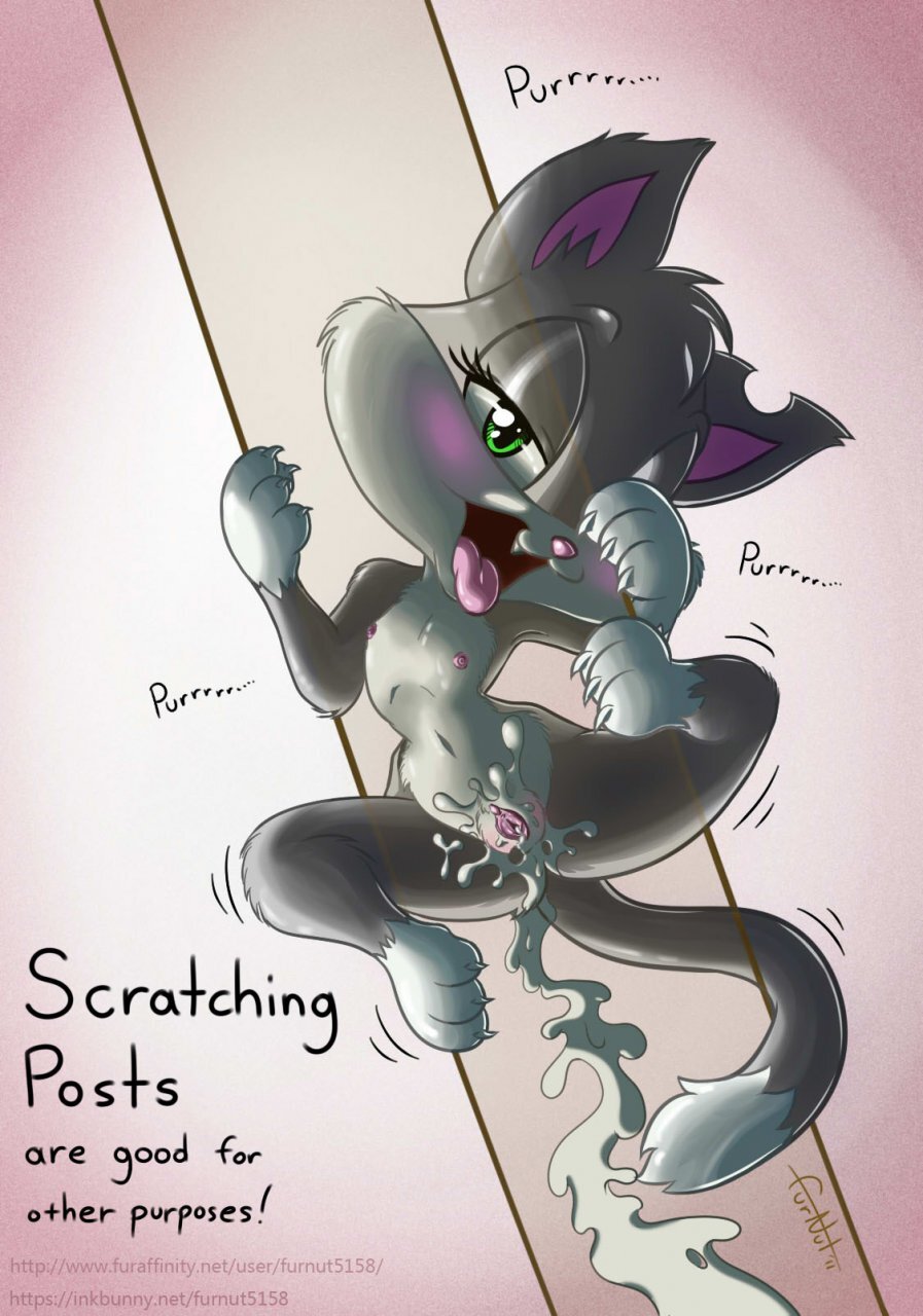 Artist - Furnut - Page 216