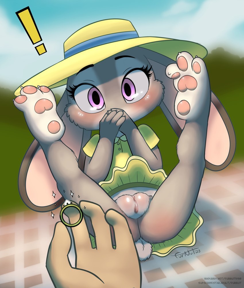 Artist - Furnut - Page 398