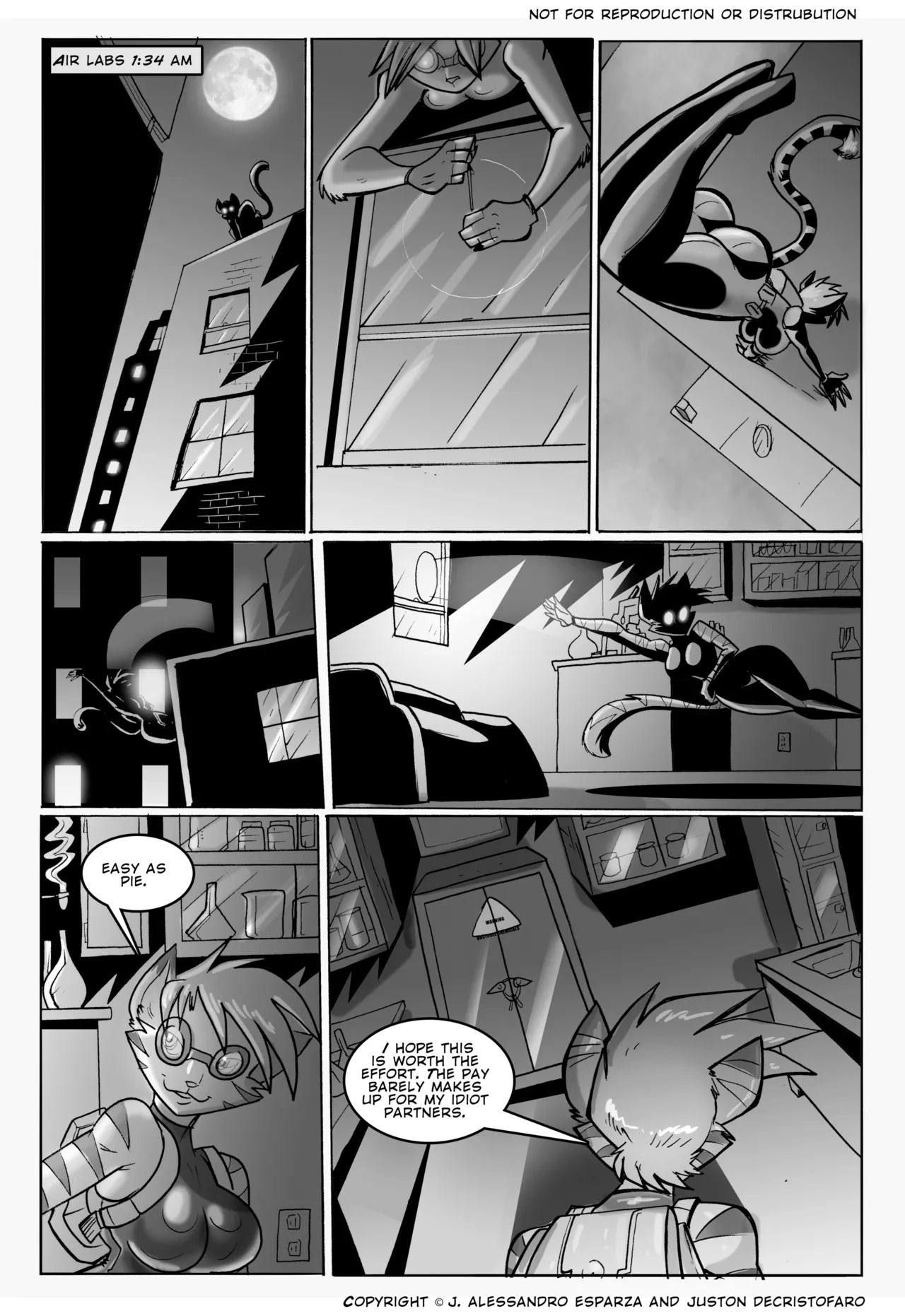Preview page 2