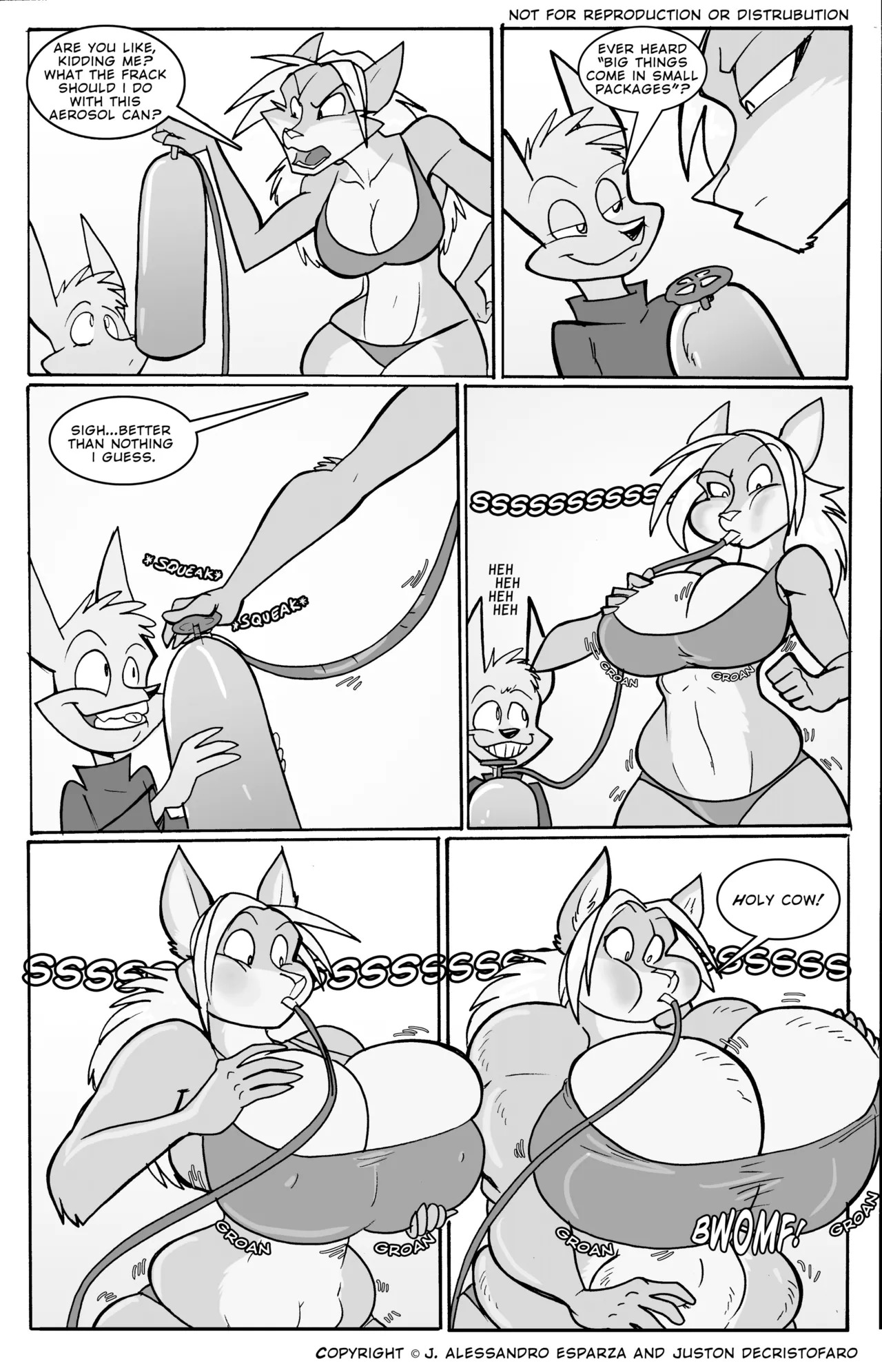 Preview page 6