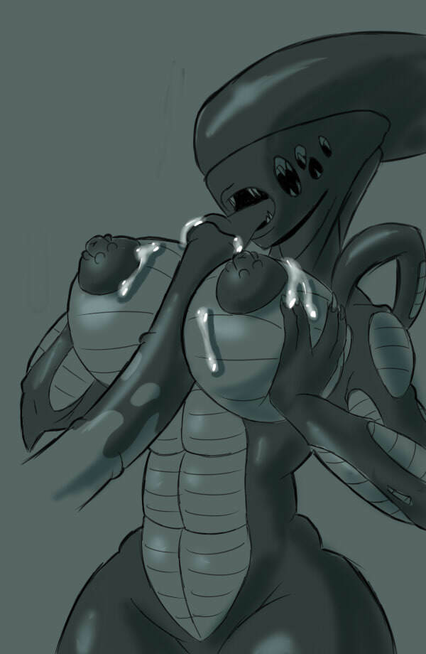 Artist - Zst Xkn - Page 27