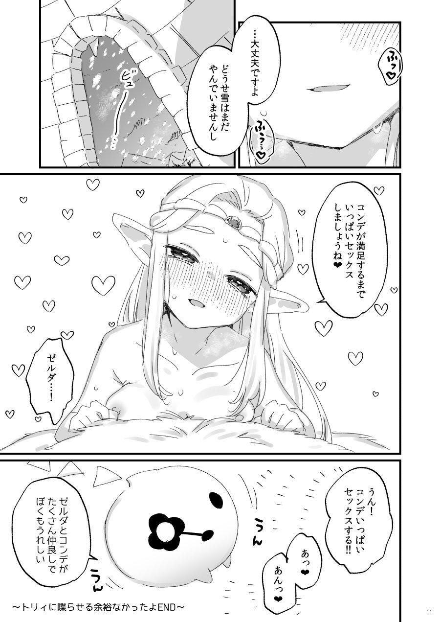 [Kanroame] Hebra Yama Wa Kyou Mo Yuki/Chiekari Eichihon (The Legend of Zelda: Echoes of Wisdom) - Page 10