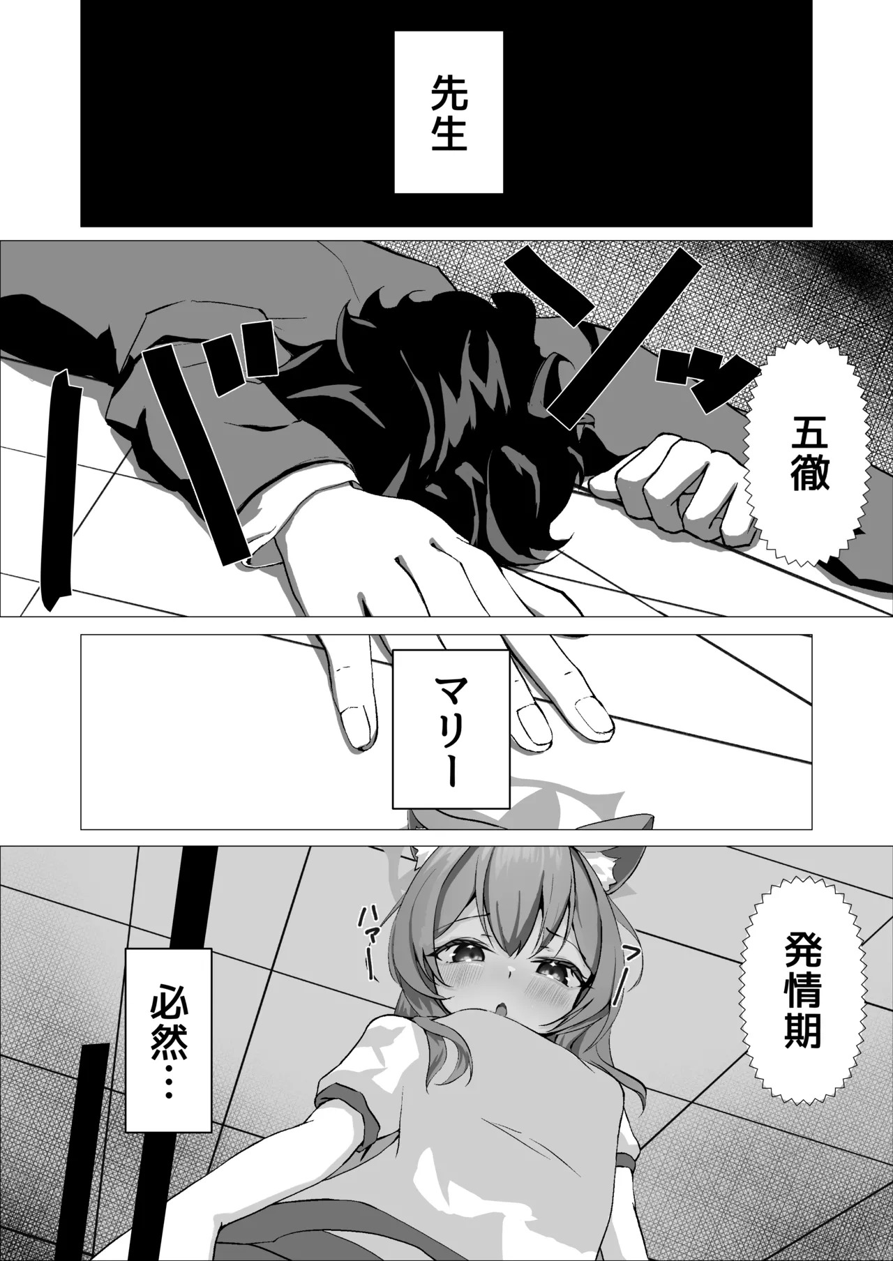 Preview page 5