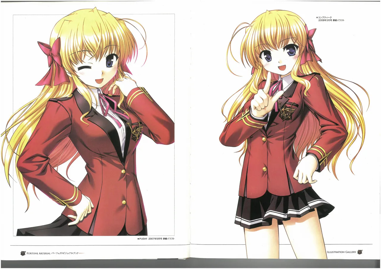 FORTUNE ARTERIAL PERFECT VISUAL BOOK - Page 11