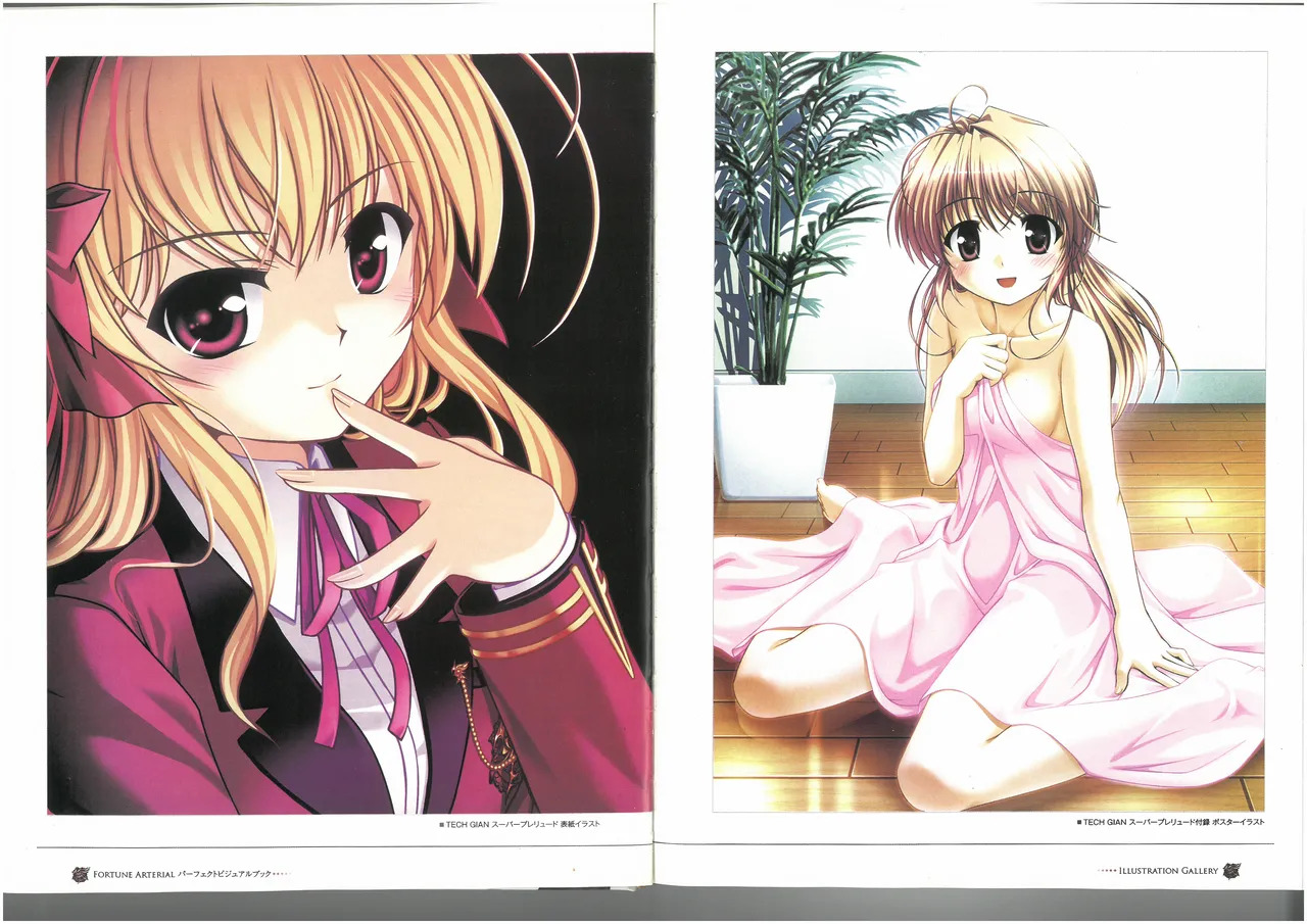FORTUNE ARTERIAL PERFECT VISUAL BOOK - Page 14