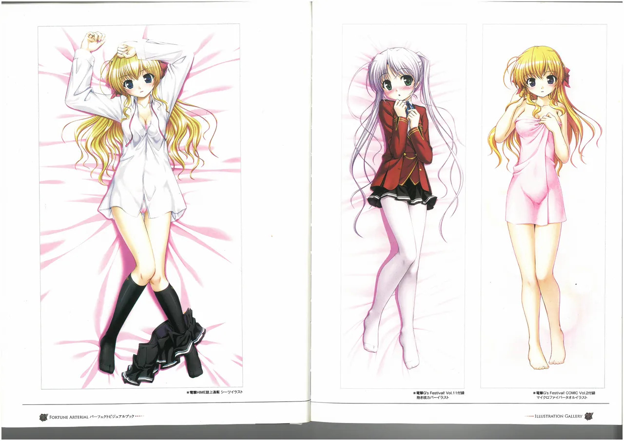 FORTUNE ARTERIAL PERFECT VISUAL BOOK - Page 16