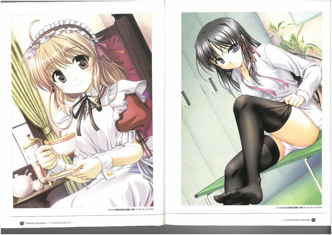 FORTUNE ARTERIAL PERFECT VISUAL BOOK - Page 17