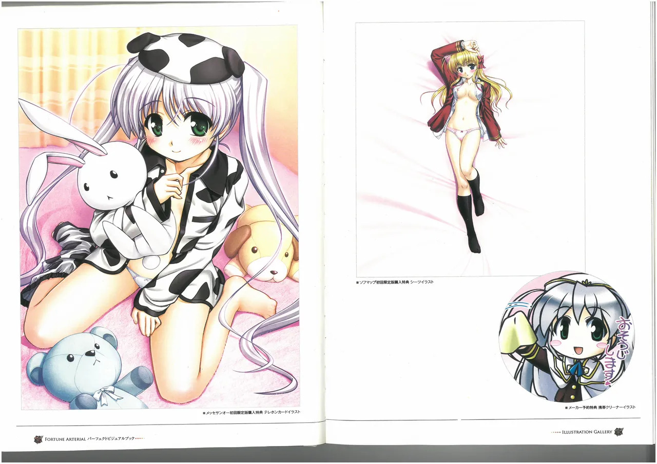 FORTUNE ARTERIAL PERFECT VISUAL BOOK - Page 18