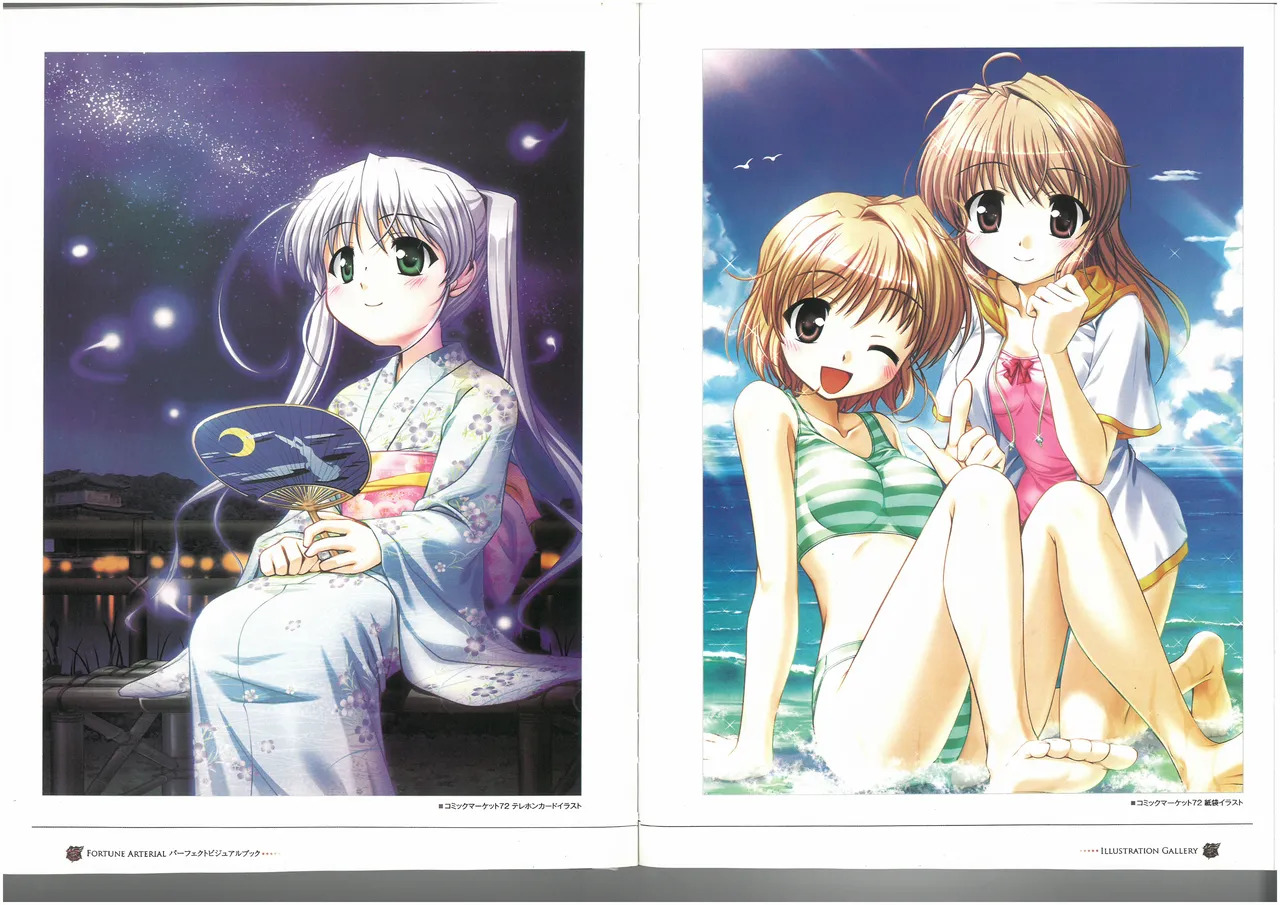 FORTUNE ARTERIAL PERFECT VISUAL BOOK - Page 22