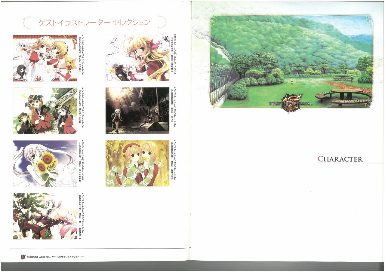 FORTUNE ARTERIAL PERFECT VISUAL BOOK - Page 25