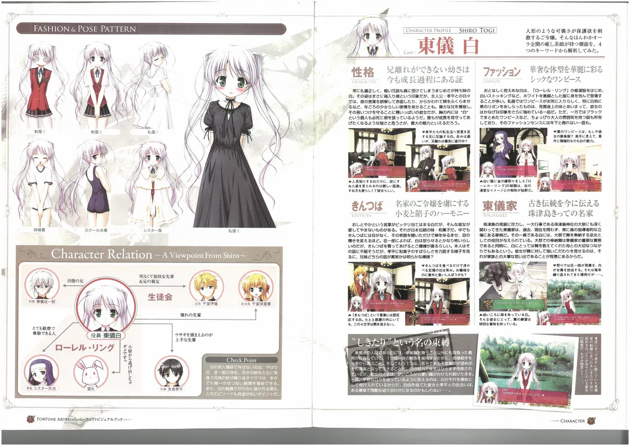 FORTUNE ARTERIAL PERFECT VISUAL BOOK - Page 29