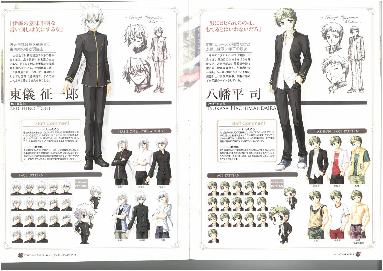 FORTUNE ARTERIAL PERFECT VISUAL BOOK - Page 37