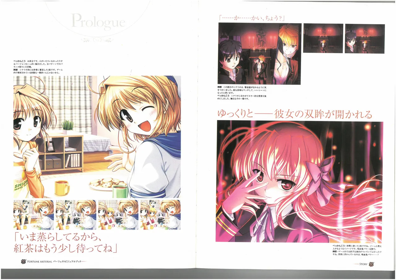 FORTUNE ARTERIAL PERFECT VISUAL BOOK - Page 40