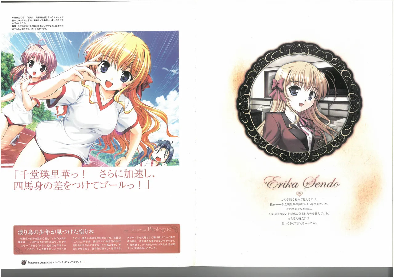 FORTUNE ARTERIAL PERFECT VISUAL BOOK - Page 41
