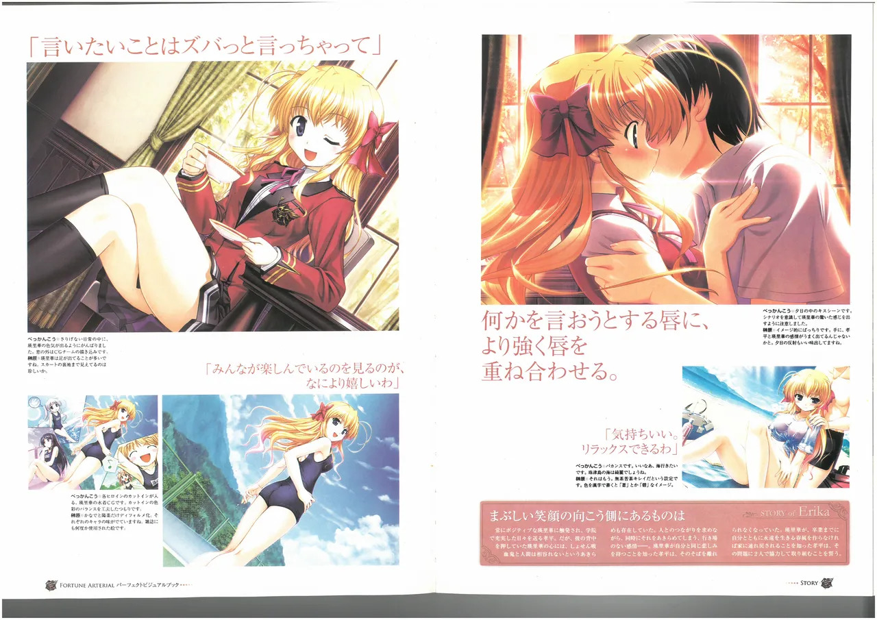 FORTUNE ARTERIAL PERFECT VISUAL BOOK - Page 42