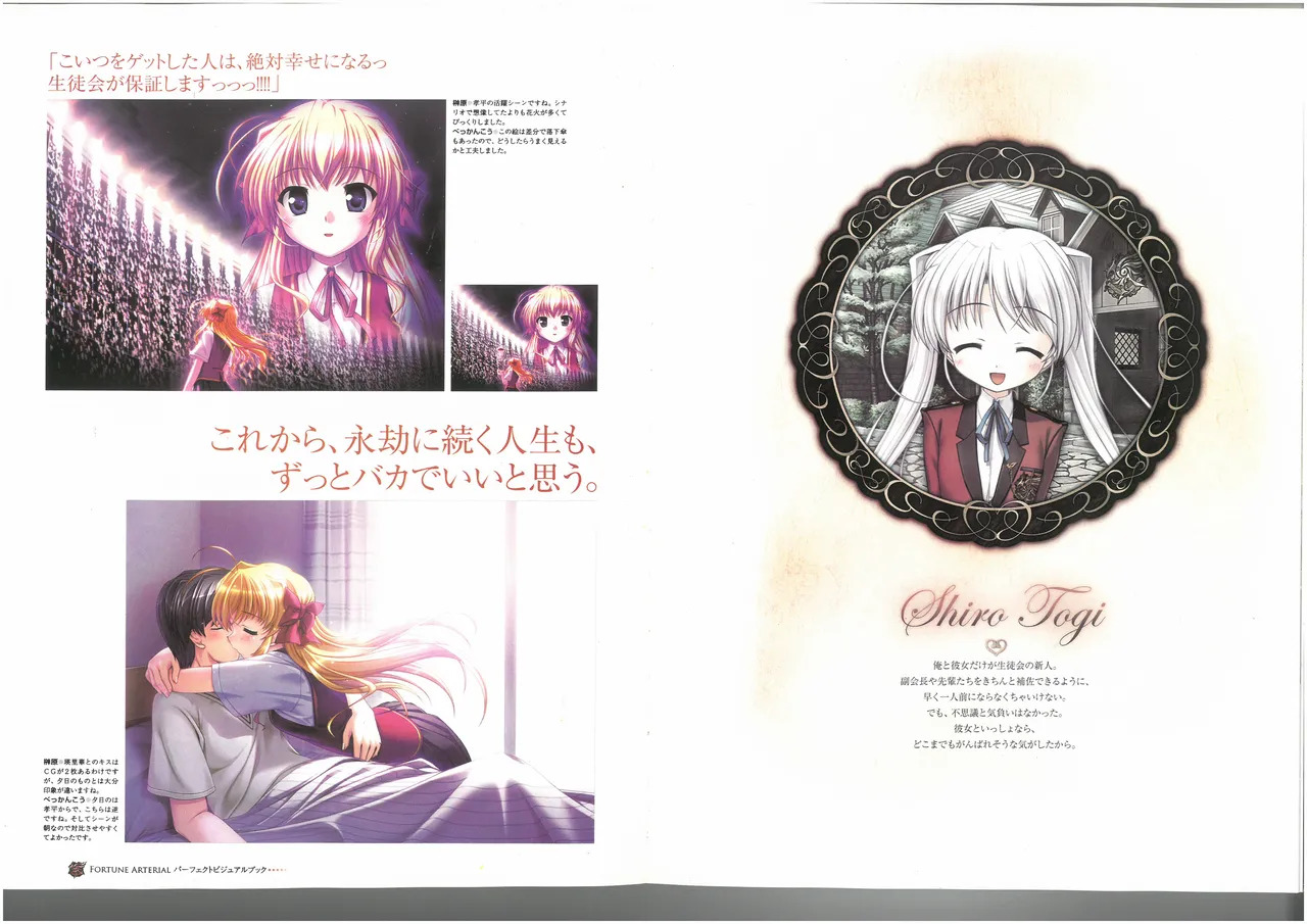 FORTUNE ARTERIAL PERFECT VISUAL BOOK - Page 43