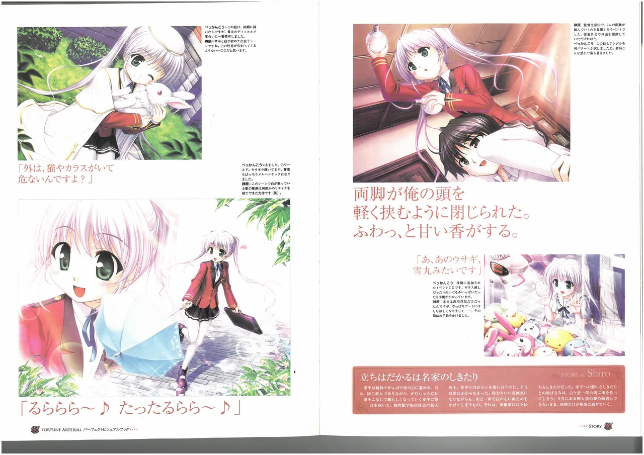 FORTUNE ARTERIAL PERFECT VISUAL BOOK - Page 44