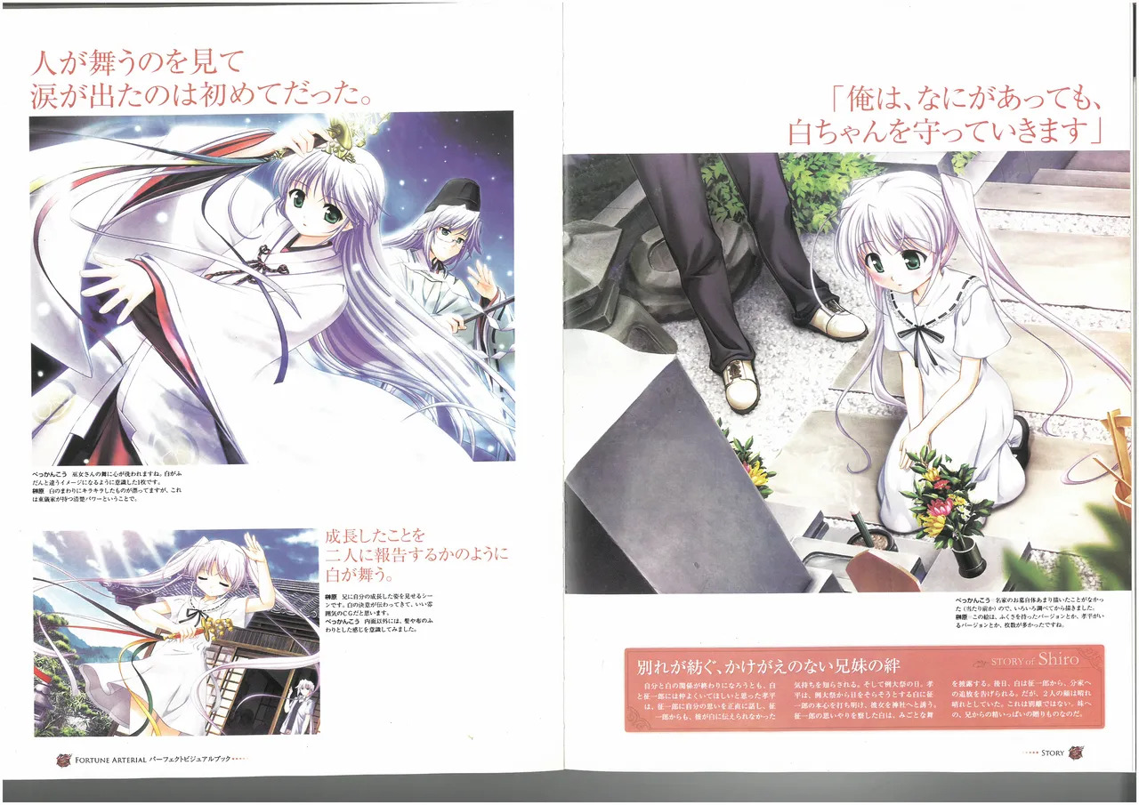 FORTUNE ARTERIAL PERFECT VISUAL BOOK - Page 45